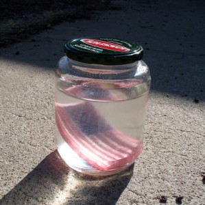 Flag in a jar A grow-your-own American Flag floating in a pickle jar.
