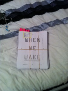 When We Wake first pass pages